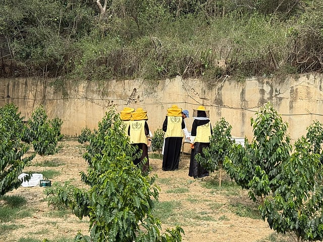 تعليم رجال ألمع يطلق مبادرة ملكات النحل لدعم الاستدامة البيئية.. صور