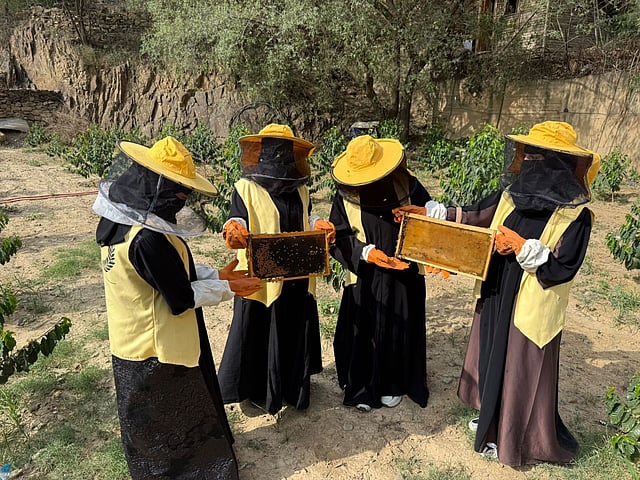 تعليم رجال ألمع يطلق مبادرة ملكات النحل لدعم الاستدامة البيئية.. صور