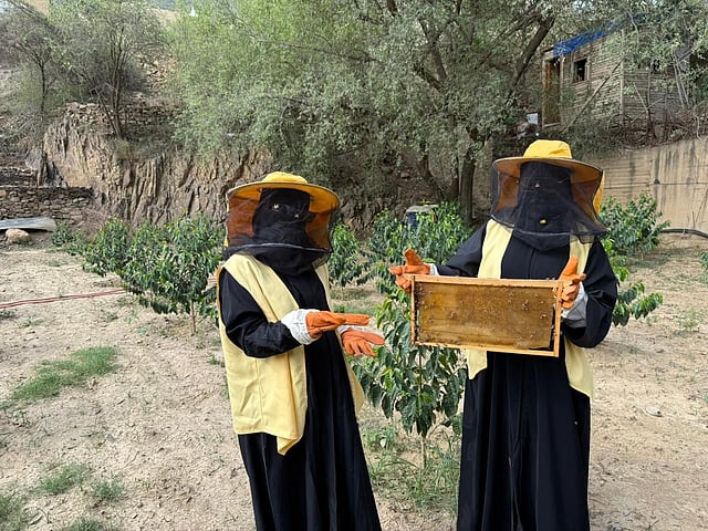 تعليم رجال ألمع يطلق مبادرة ملكات النحل لدعم الاستدامة البيئية.. صور