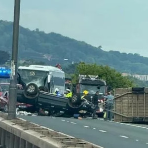 حادث مروري يتسبب في انتشار عشرات الأبقار وسط الشارع