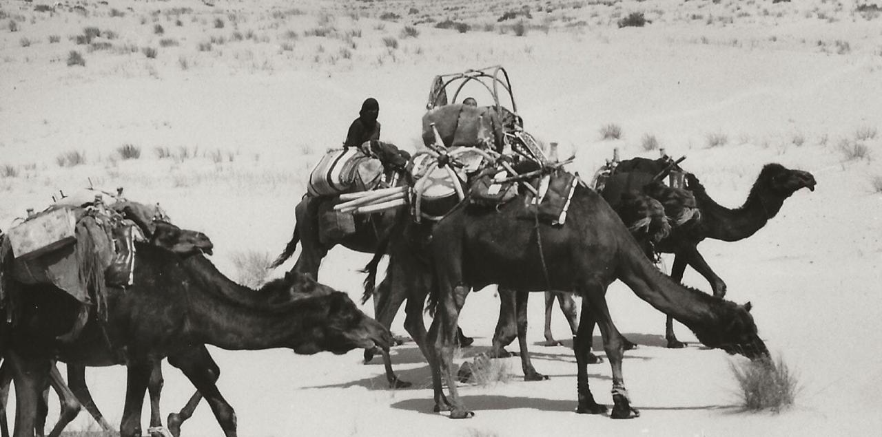 لقطات من البادية بين مدينتي الرياض و الدمام قبل 50 عام