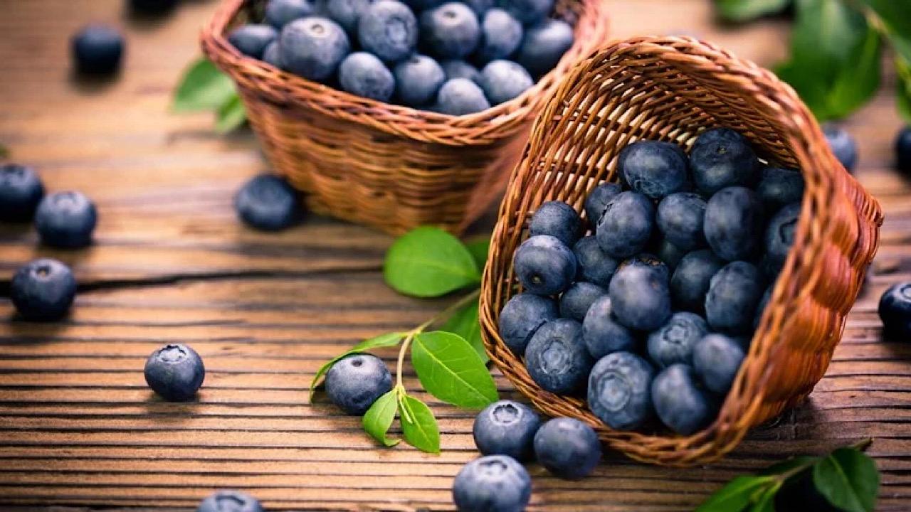 مختص يكشف عن فوائد التوت الأزرق للقلب والعقل والأمعاء