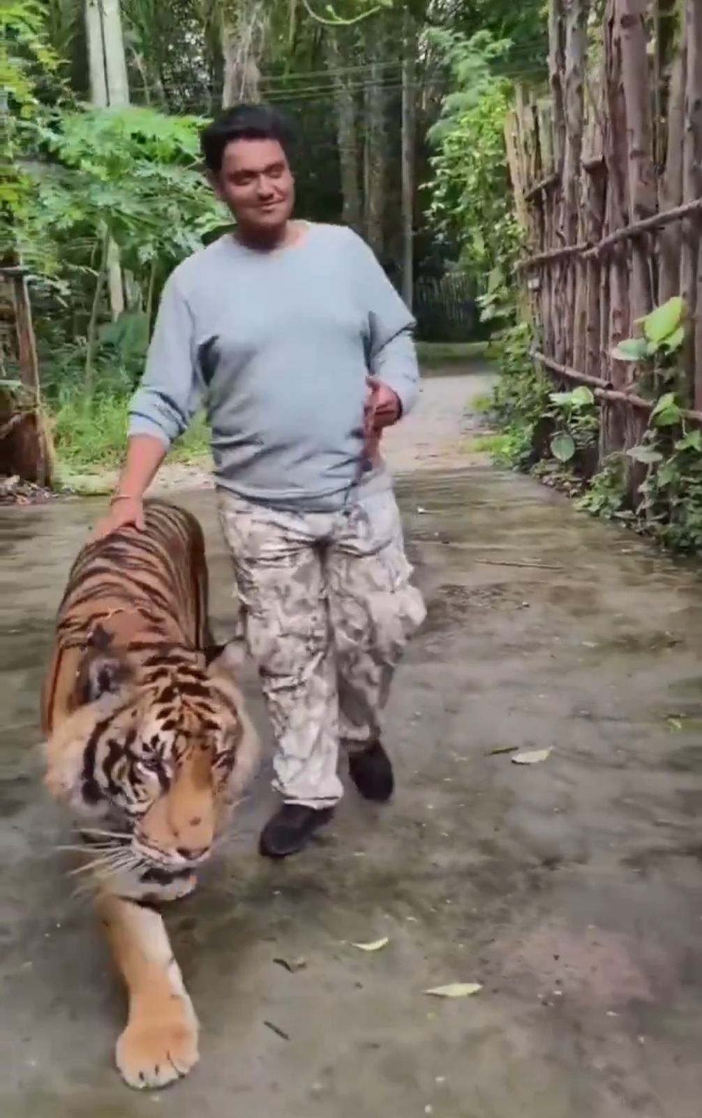 نمر يهاجم سائح حاول التقاط صورة معه .. فيديو