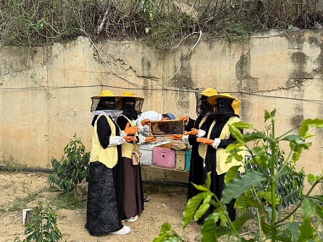 تعليم رجال ألمع يطلق مبادرة ملكات النحل لدعم الاستدامة البيئية.. صور