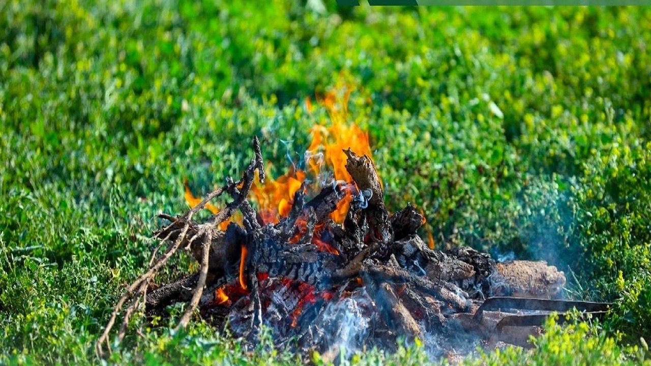 ضبط مواطنًا مخالفًا لنظام البيئة في محمية الأمير محمد بن سلمان الملكية