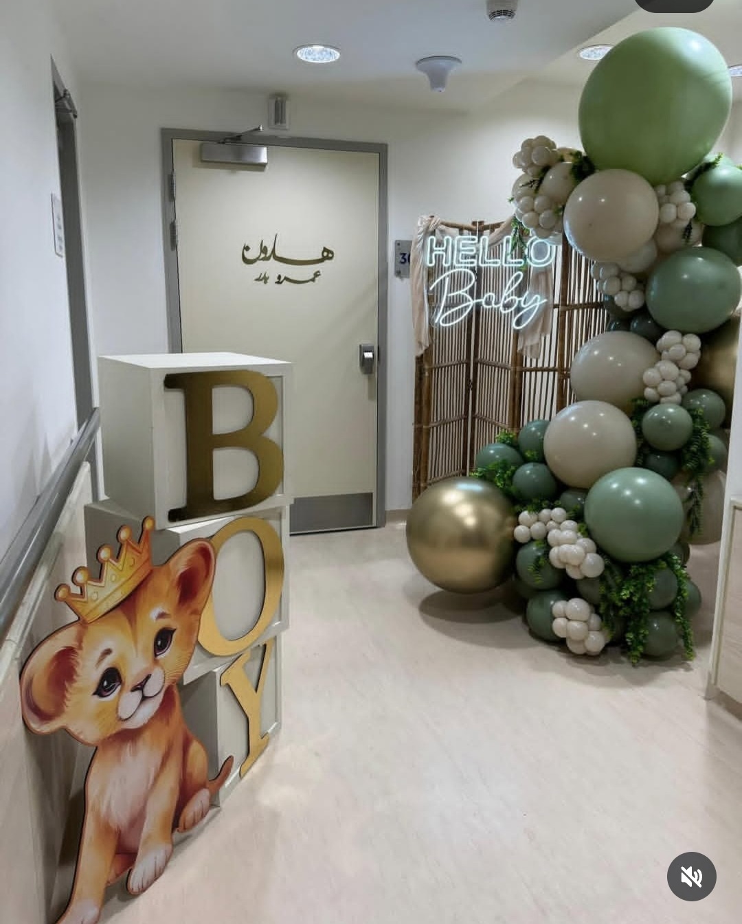 الإعلامية أميرة بدر ترزق بمولود جديد