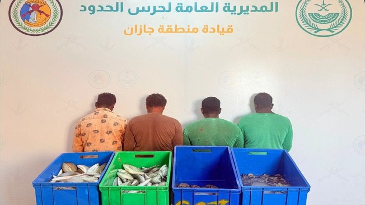 ضبط 4 مقيمين مخالفين للائحة الأمن والسلامة لمزاولي الأنشطة البحرية