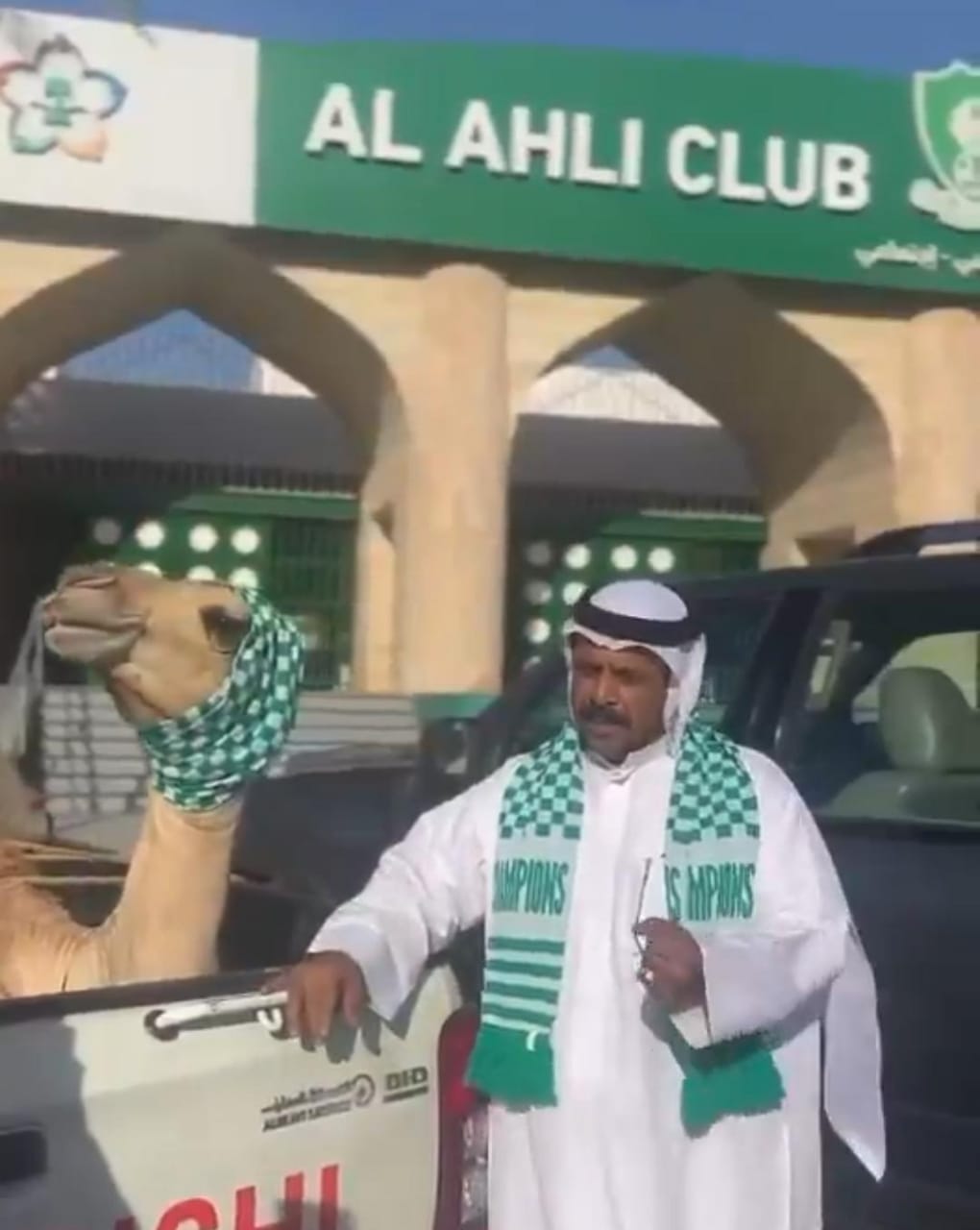 شاعر يذبح قعودا احتفالا بتتويج الأهلي بطلا للنخبة الآسيوية .. فيديو