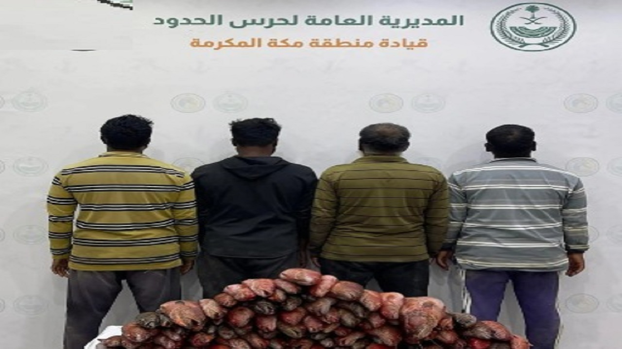 ضبط 4 مقيمين مخالفين للائحة الأمن لمزاولي الأنشطة البحرية