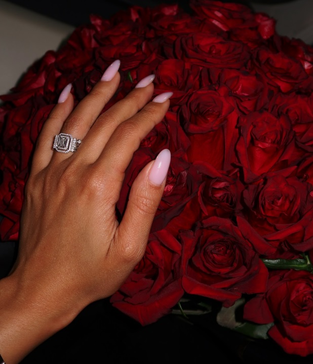 أنباء عن ارتباط نور الغندور .. صور