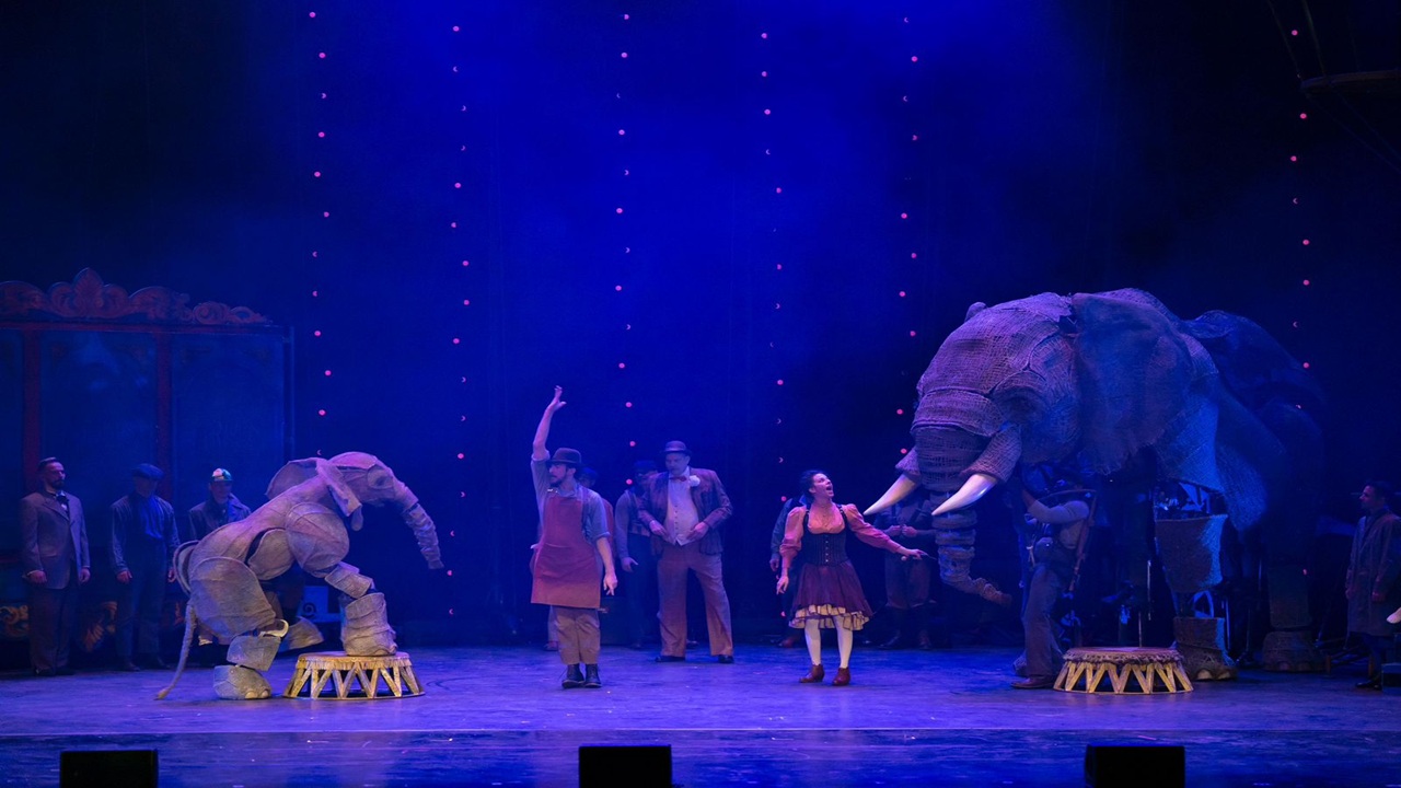 سيرك 1903 يُعيد أمجاد العروض الاستعراضية في جدة