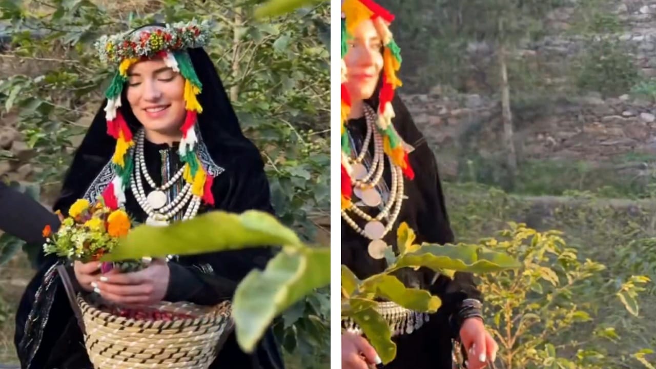 سائحة تستمتع بالأجواء الريفية في جبال فيفا وتشارك في قطف القهوة .. فيديو