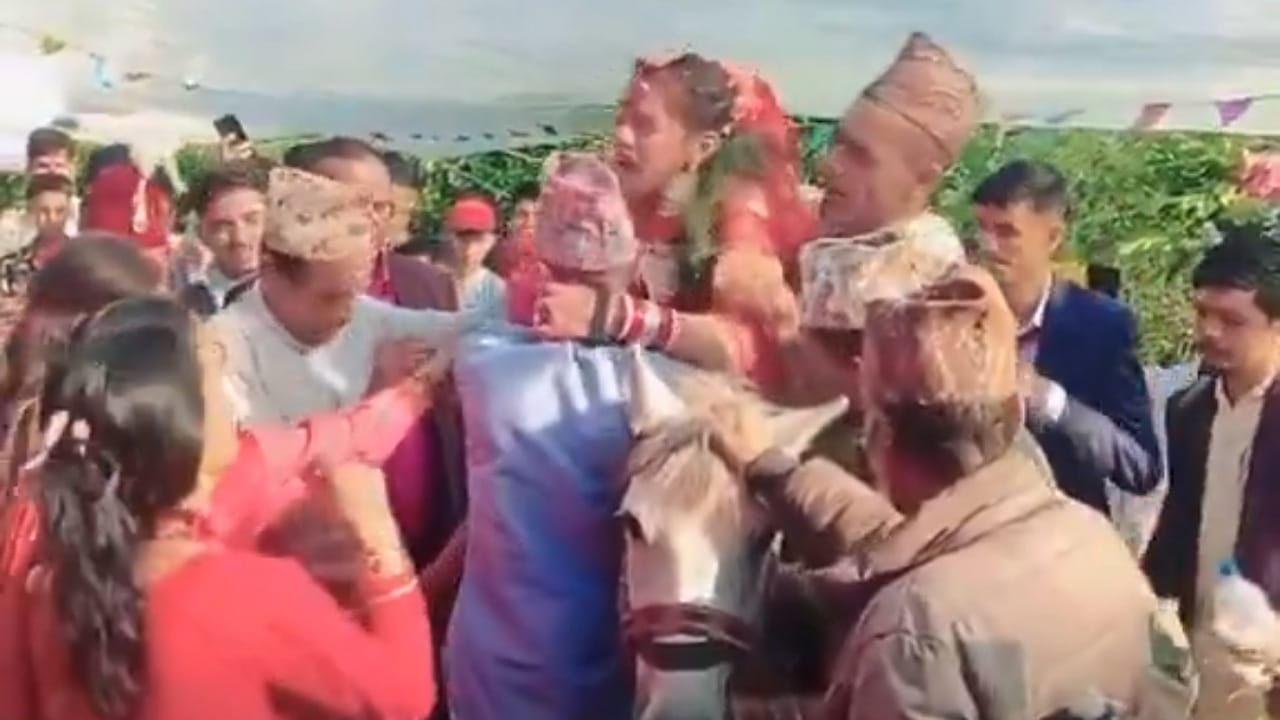 عروس تنهار بعد إجبارها على ركوب حمار في حفل زفافها .. فيديو