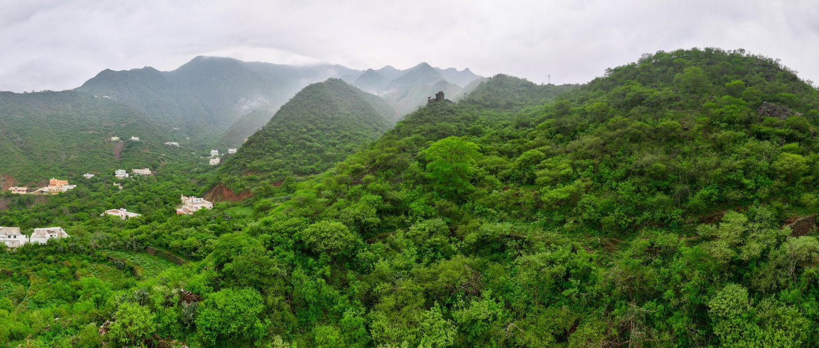 المسند: أغسطس الأنسب لزيارة عسير