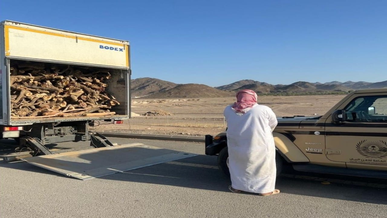 ضبط مواطن لنقله حطبًا محليًا في المدينة المنورة