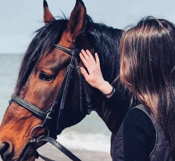 لماذا تحب النساء الخيل وما سر العلاقة الفريدة بين الأنثى والجواد!.. صور