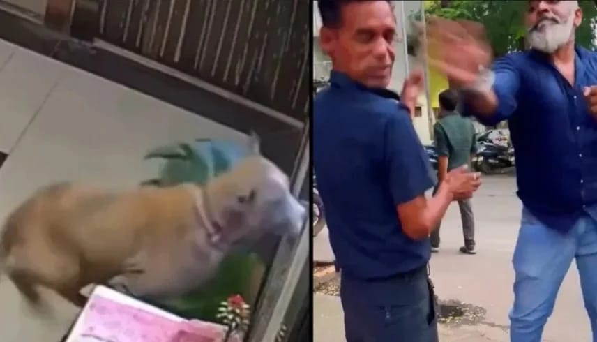 فيديو صادم لكلب يقفز من الطابق 15 هربا من اعتداء حارس