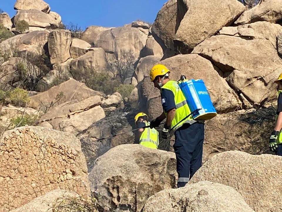 الدفاع المدني بميسان يخمد حريقا في أشجار وأعشاب في جبل بثرة