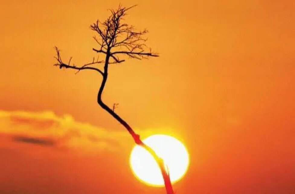 الحصيني يكشف موعد بداية مربعانية القيظ والصيف