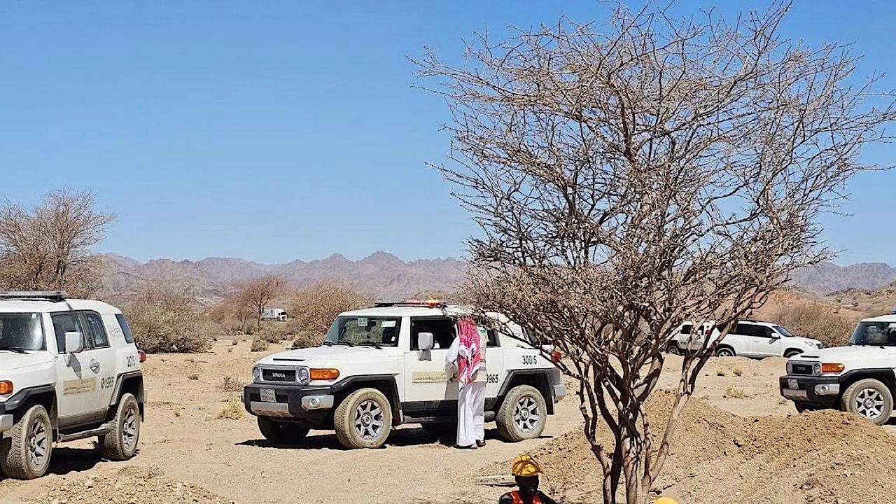 نقل 5 أشجار معمرة في المدينة المنورة إلى مناطق تنمية الغطاء النباتي