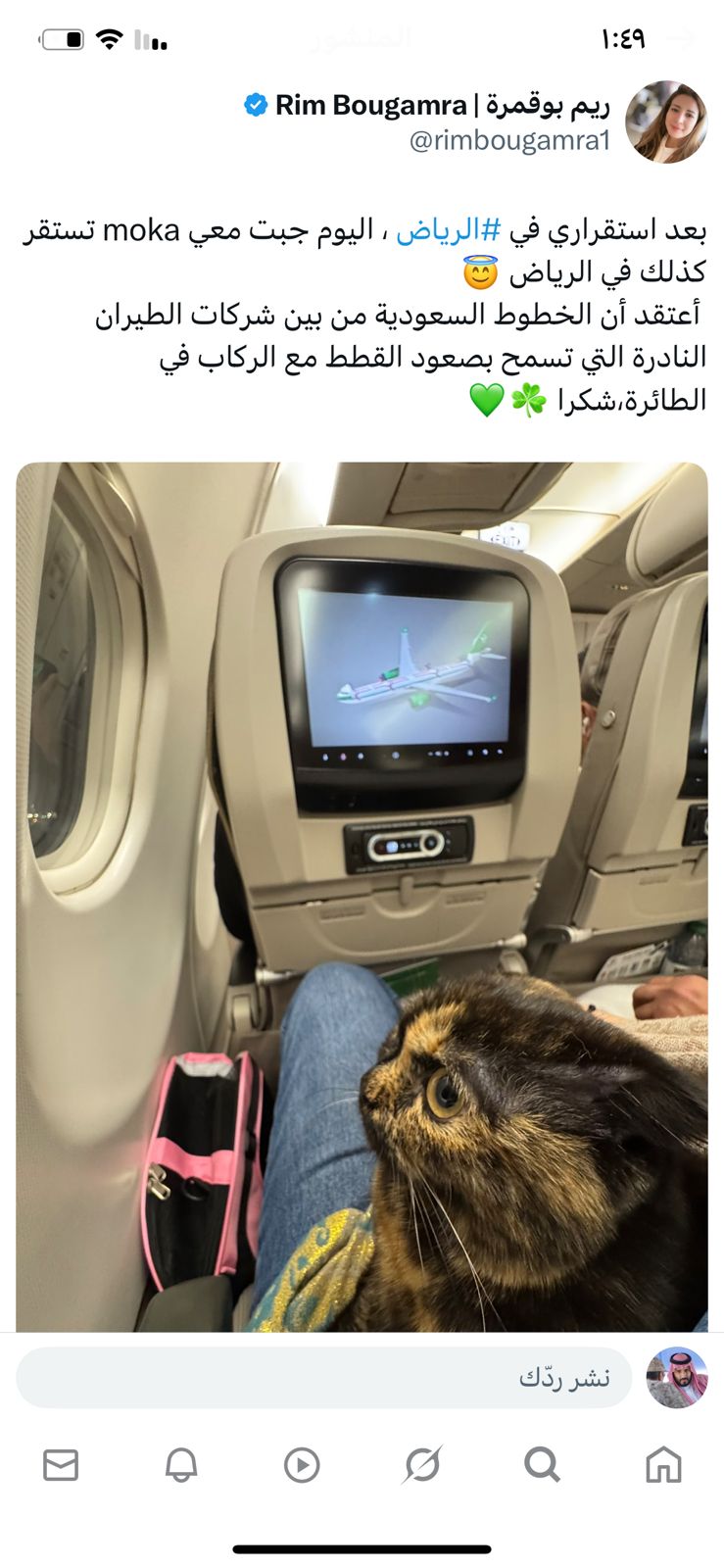 مذيعة العربية تصطحب قطتها موكا على رحلة الخطوط الجوية من دبي للرياض.. فيديو
