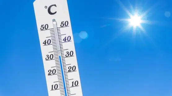 عقيل العقيل: درجات الحرارة بالمملكة ضمن المعدلات الطبيعية هذا العام .. فيديو