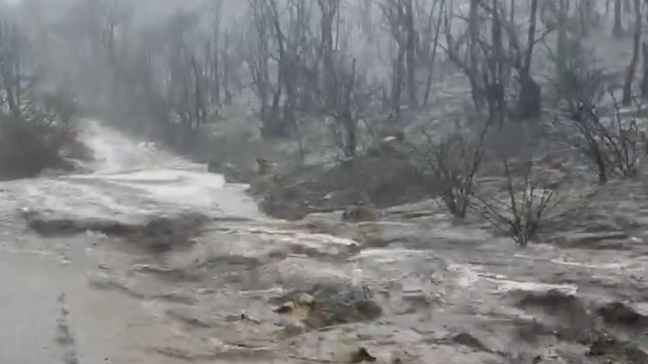 جبال السودة تكتسي بالبياض .. فيديو