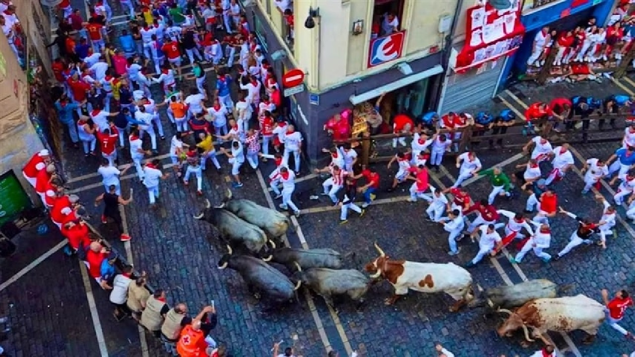 إصابة 5 أشخاص خلال سباق ثيران.. فيديو