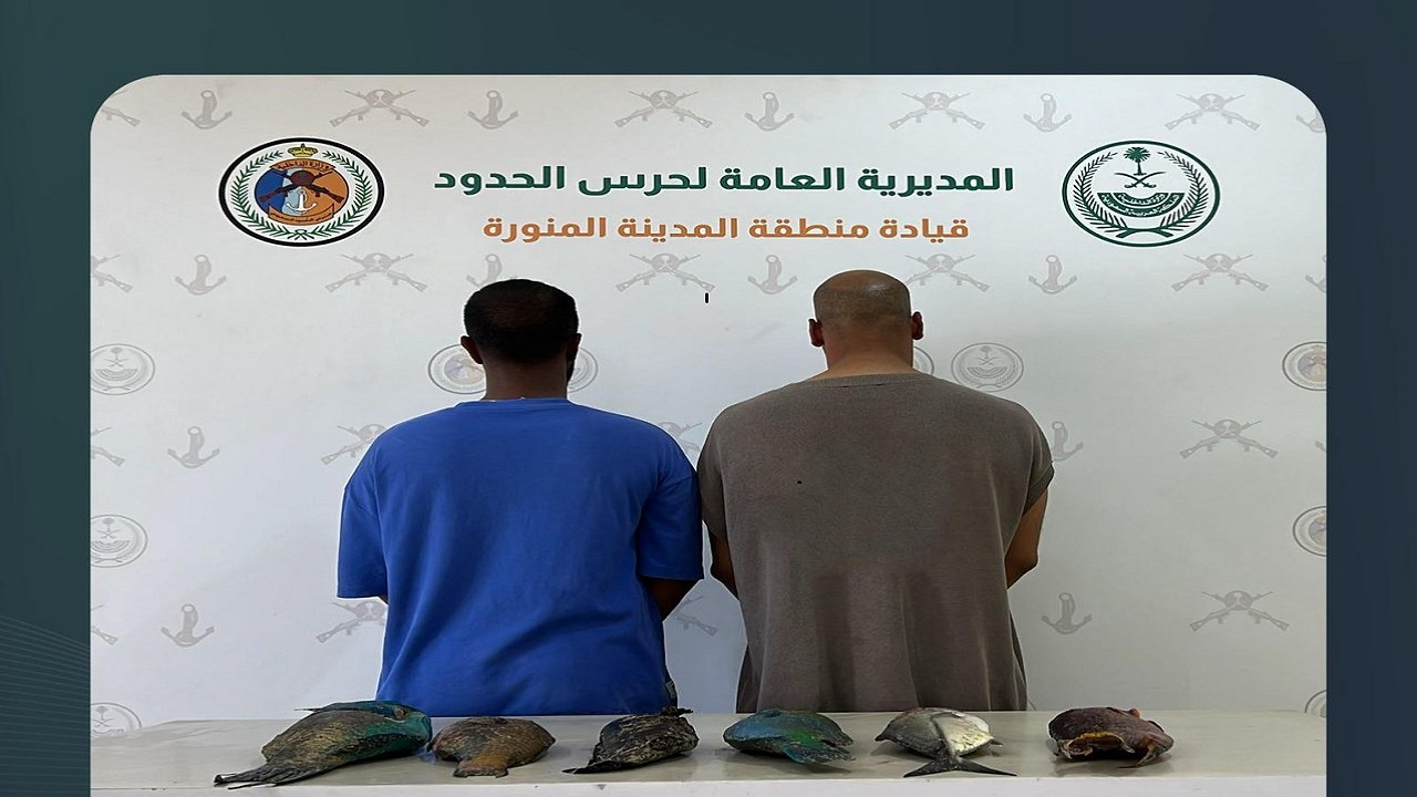 ضبط مواطنين مخالفين للائحة الأمن والسلامة لمزاولي الأنشطة البحرية