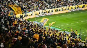 الجماز لجماهير النصر : بطلوا شحاذة وتسول مقاعد