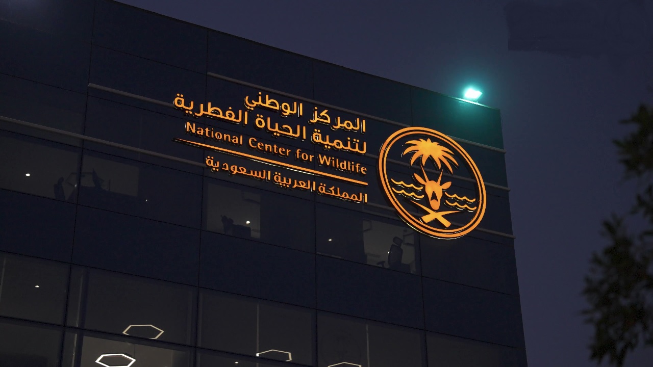 الحياة الفطرية تعالج انتشار قرود البابون بالرياض وتحذر من اقتنائها