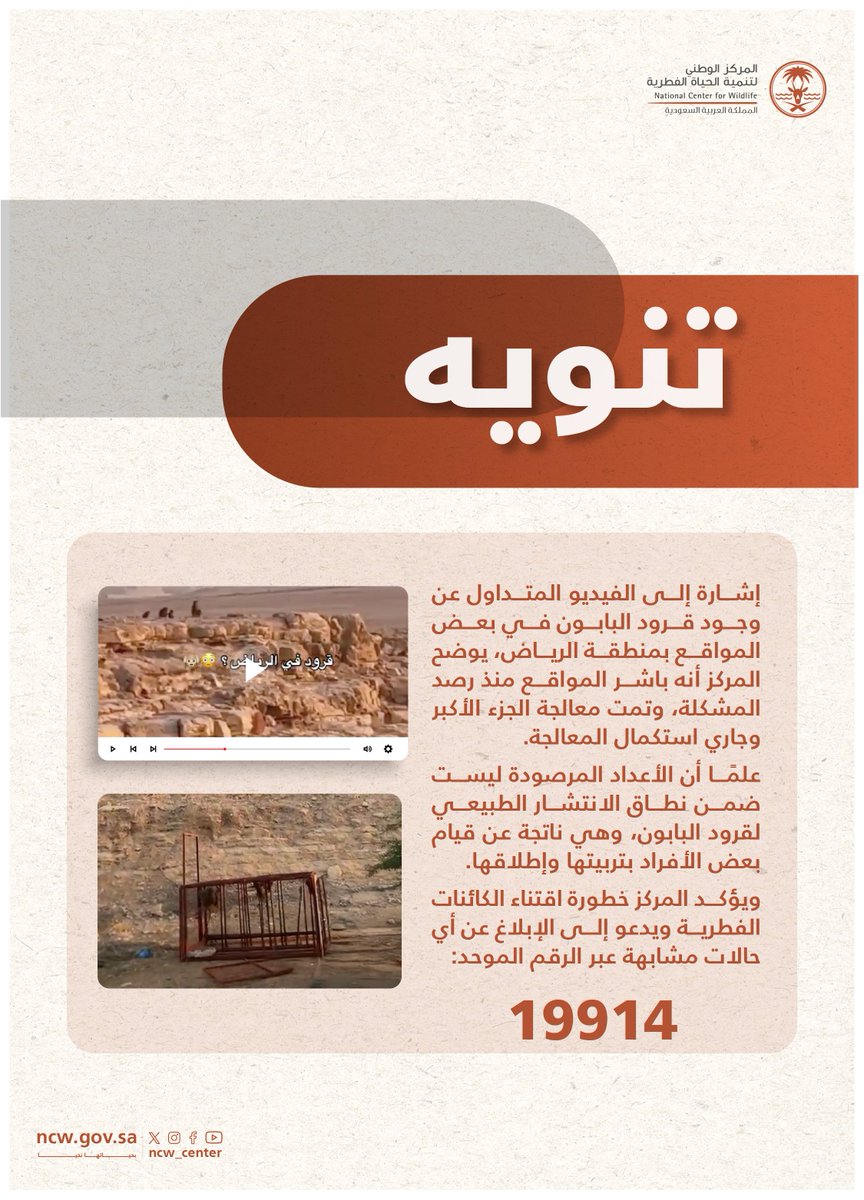 الحياة الفطرية تعالج انتشار قرود البابون بالرياض وتحذر من اقتنائها