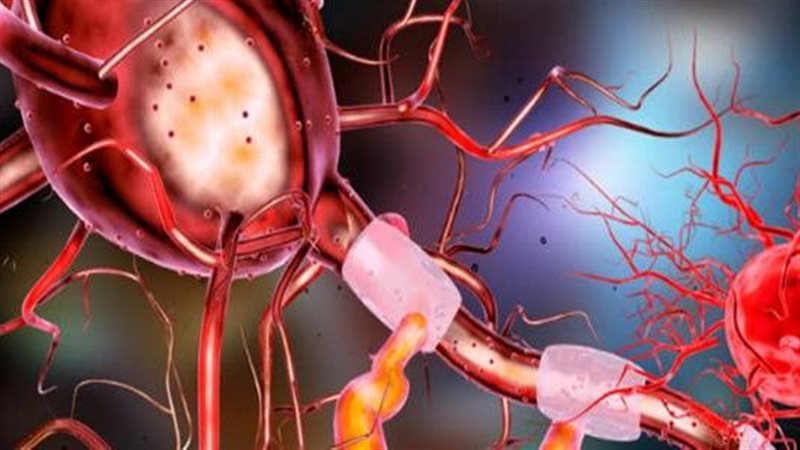 اكتشاف تركيبة مجهولة داخل الخلايا البشرية لأول مرة