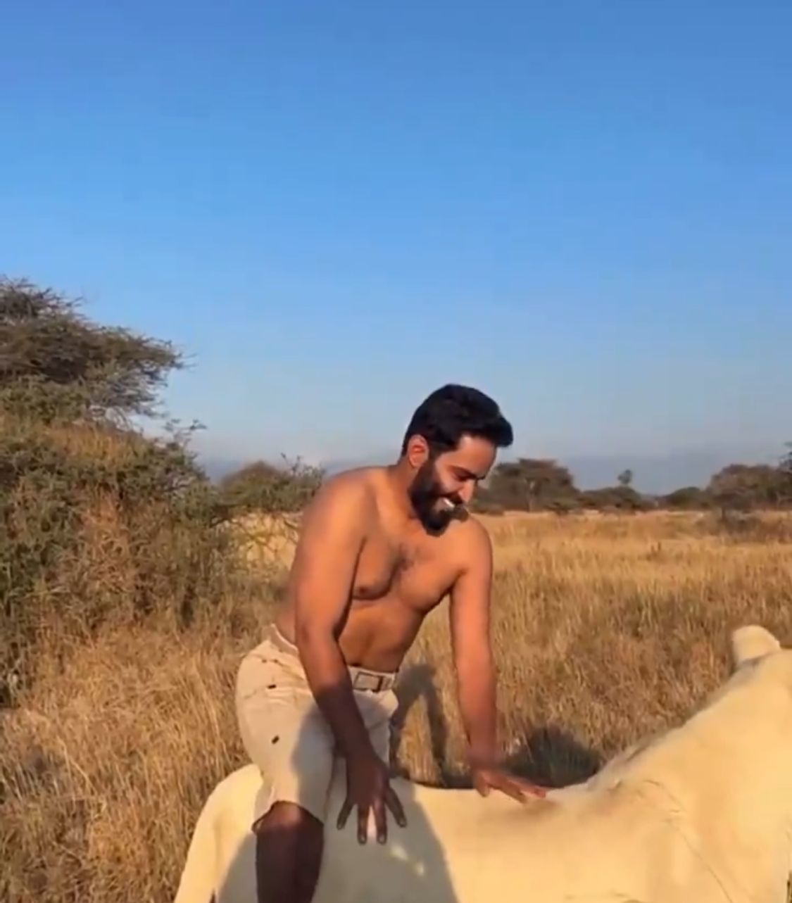 المطيري يروض أسدا في الغابة ويصعد على ظهره في مشهد مدهش .. فيديو