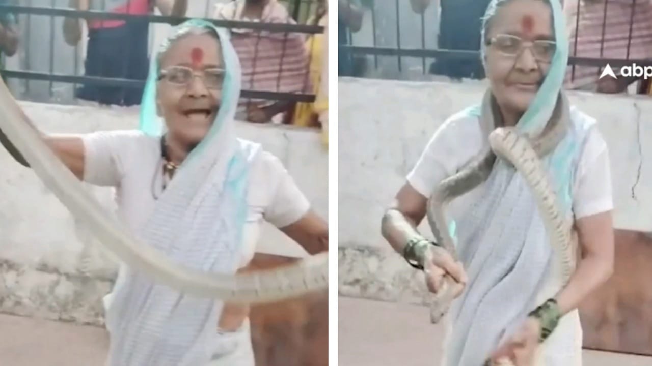 فيديو صادم لمسنة هندية تداعب ثعبانًا بثقة مدهشة .. فيديو