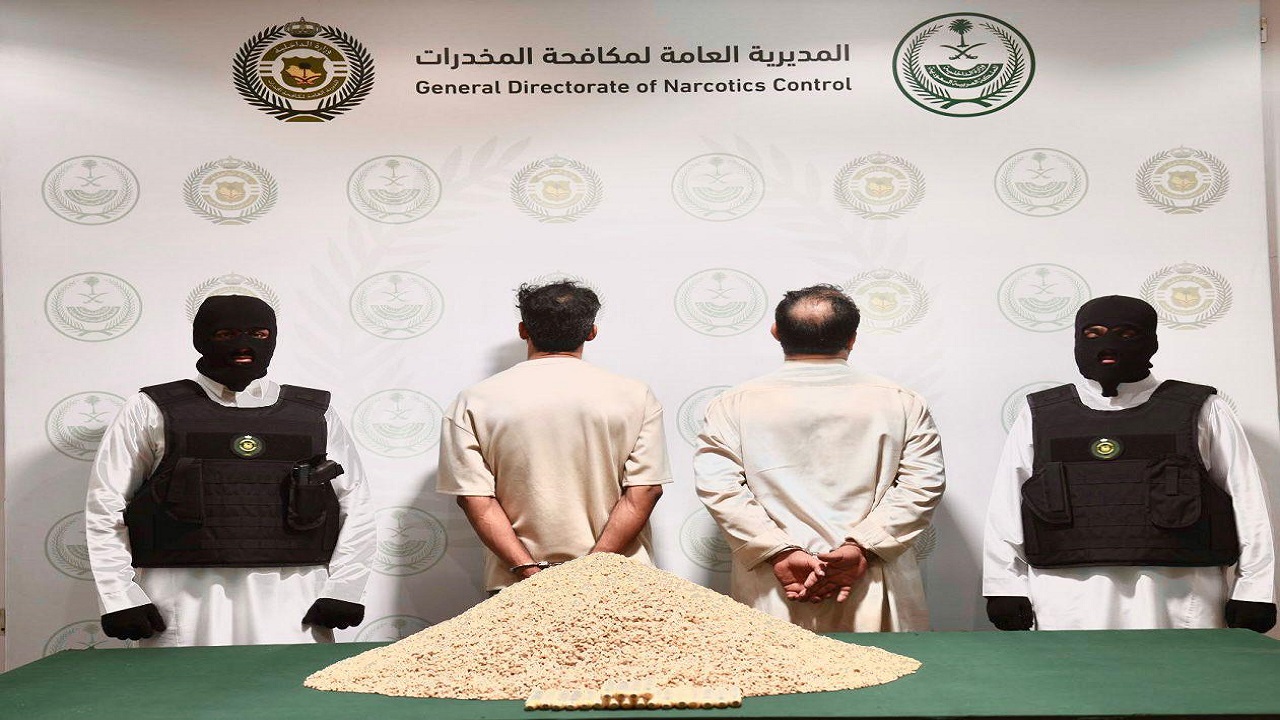 ضبط 411,546 قرصًا من الإمفيتامين المخدر داخل أنابيب بلاستيكية في أحشاء أغنام.. فيديو