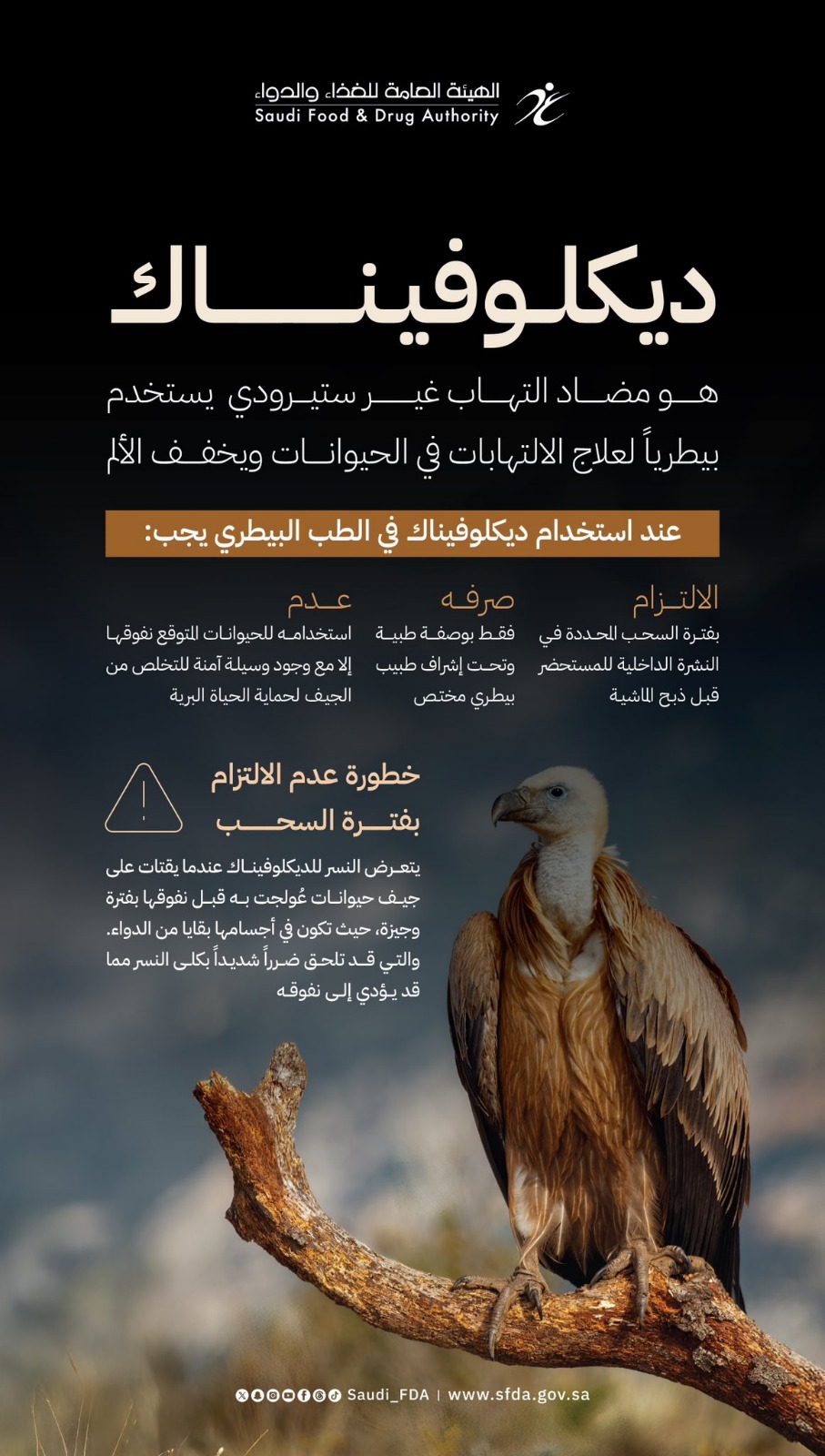 الغذاء والدواء: ديكلوفيناك قد يعرض حياة النسر للخطر