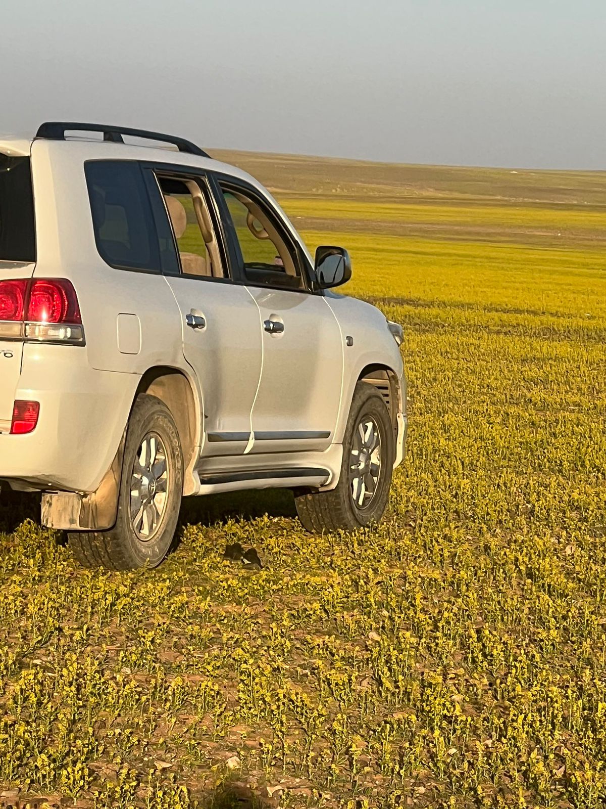 جمال وهدوء مدينة طريف يأسر قلوب الزائرين.. فيديو وصور