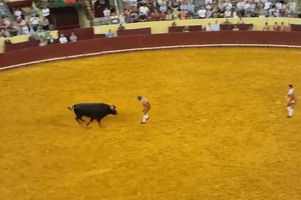 مصرع مصارع شاب في لشبونة بعد هجوم مروع من ثور ضخم .. فيديو