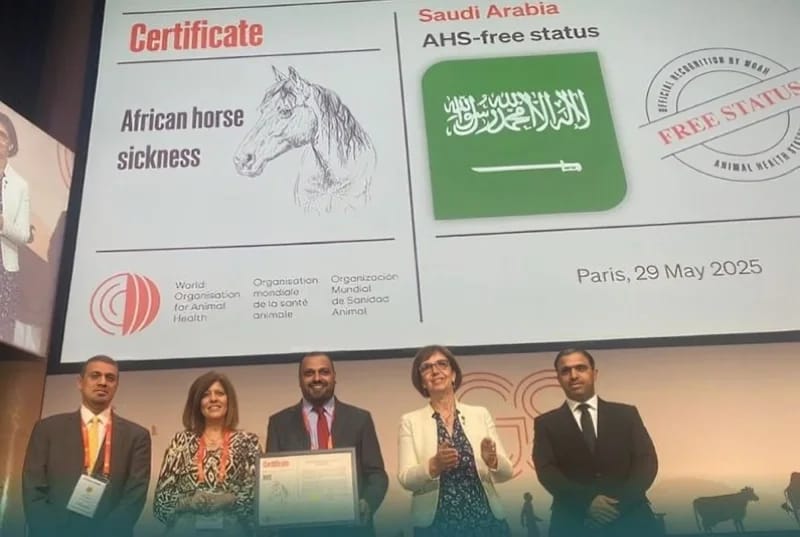الحربي: المملكة تستعيد خلوها من طاعون الخيل الأفريقي بعد 25 عاما .. فيديو