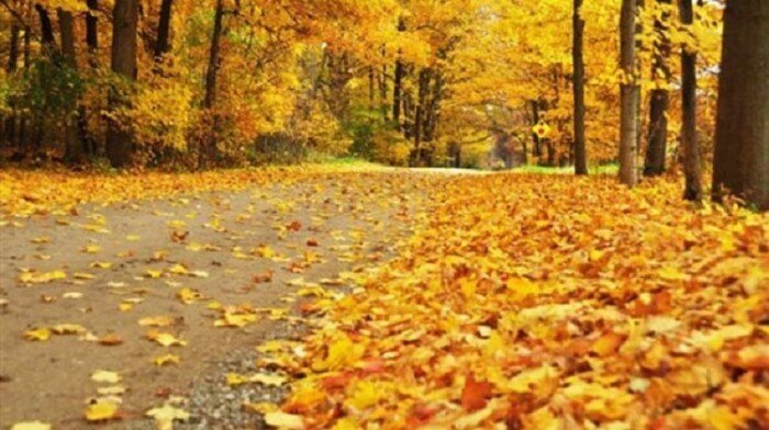 الحصيني: الإثنين القادم أول أيام الخريف أرصاديا