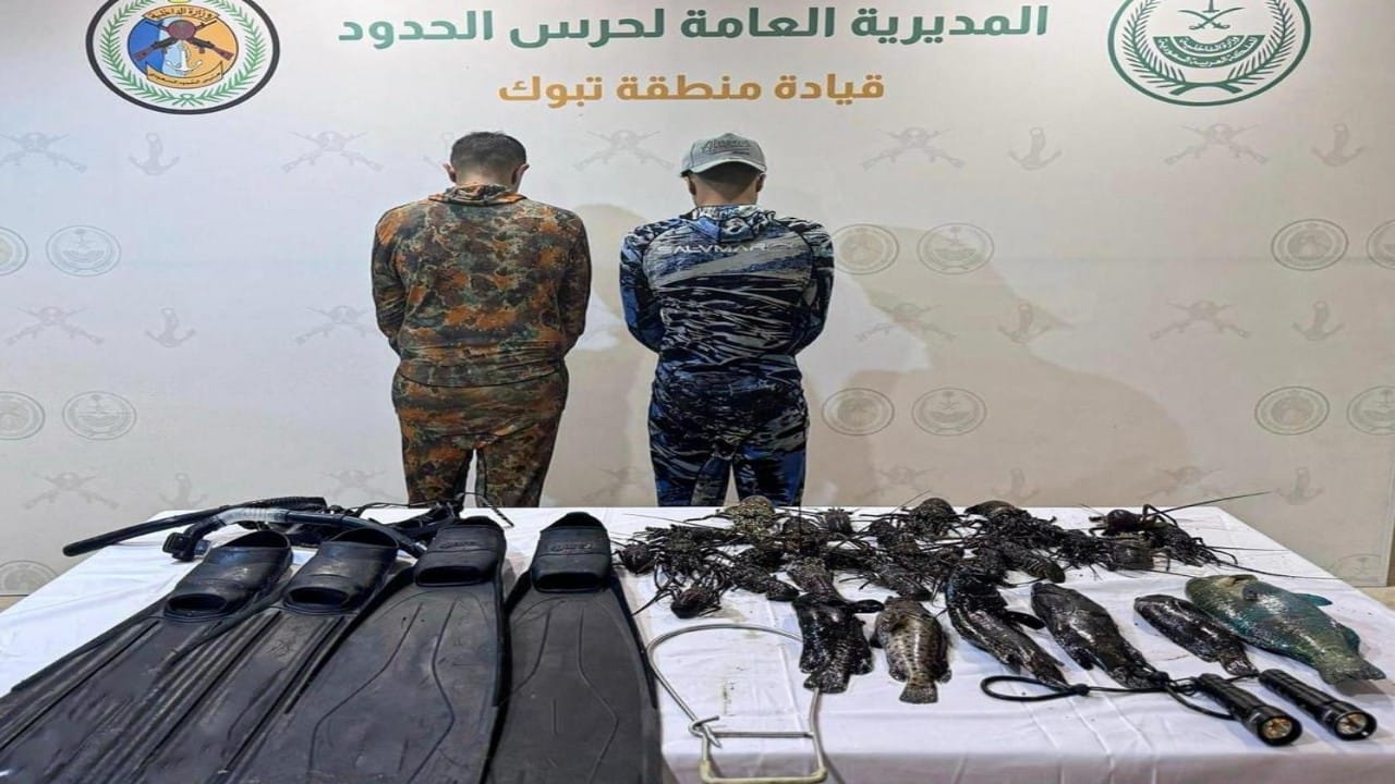 ضبط مخالفين للائحة الأمن والسلامة لمزاولي الأنشطة البحرية