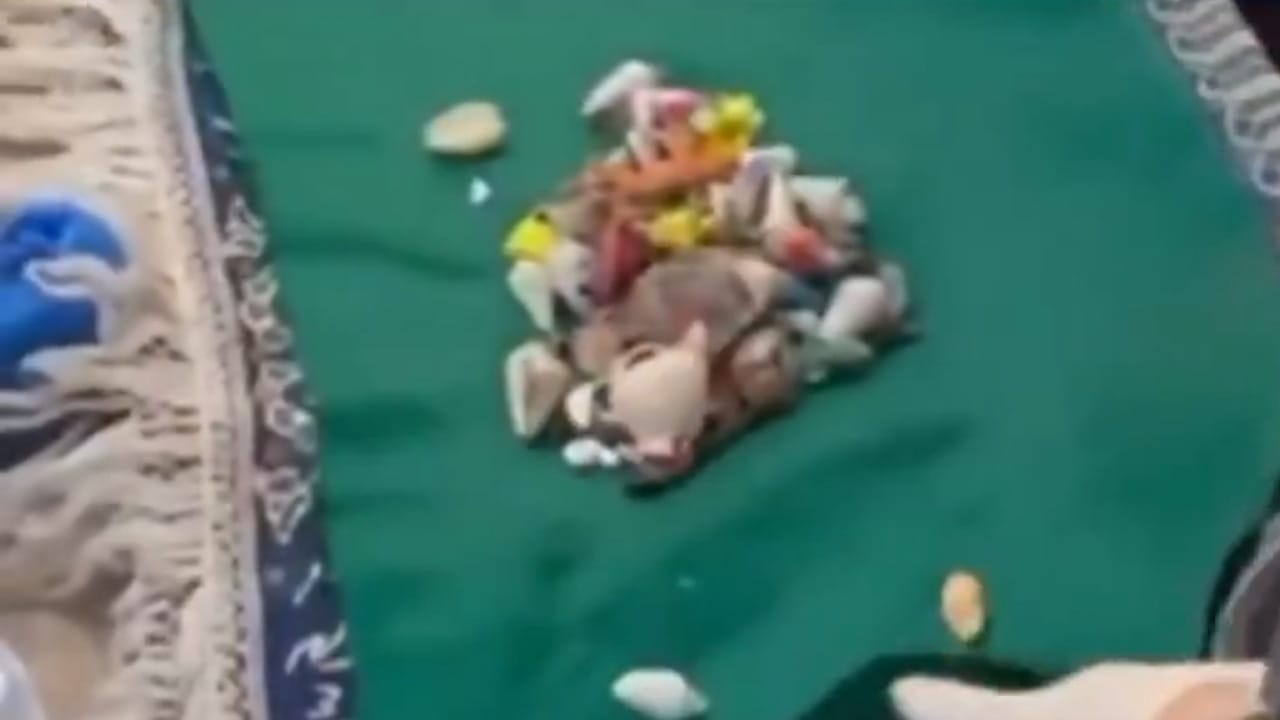 الداخلية الكويتية تضبط مواطنة بتهمة ممارسة السحر والشعوذة