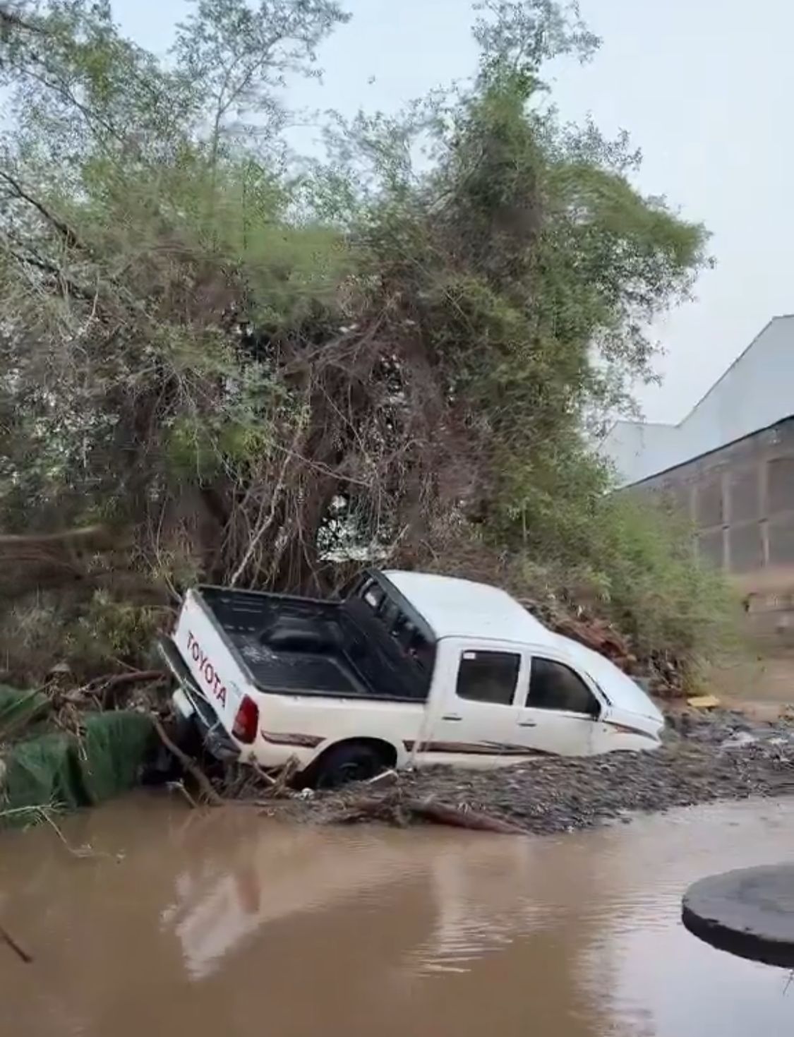 أمطار غزيرة تجتاح محايل عسير وتحول الشوارع إلى سيول جارفة .. فيديو