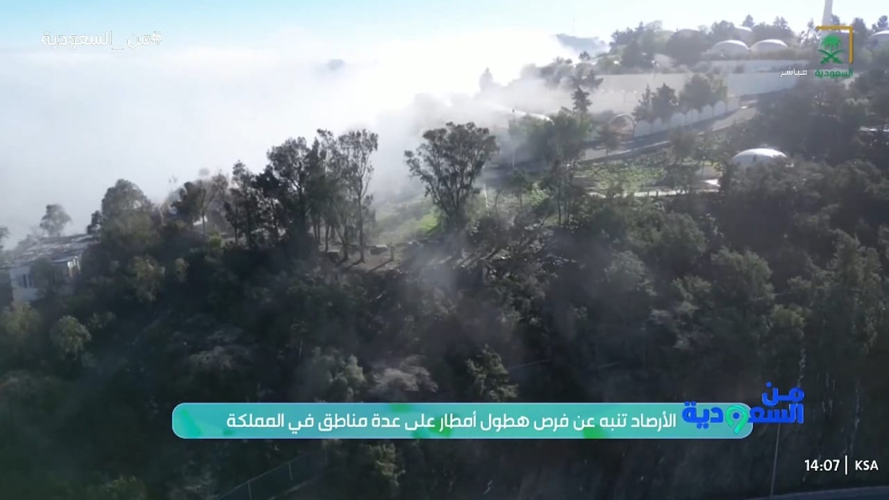 العقيل: أمطار متوسطة إلى غزيرة هذا الأسبوع وتشمل السواحل والمرتفعات .. فيديو