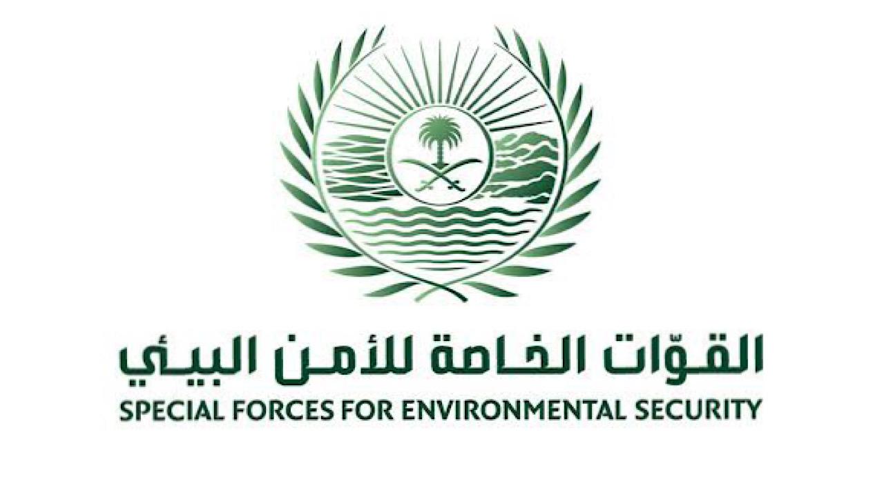 ضبط 28 مخالفًا لنظام البيئة في عدد من مناطق المملكة ..فيديو