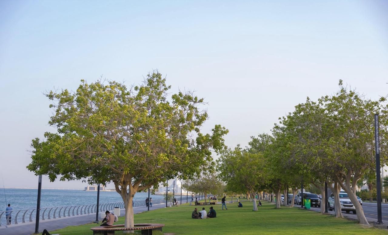 الخبر تطلق مشروع رقمنة 100 ألف شجرة إلكترونيا