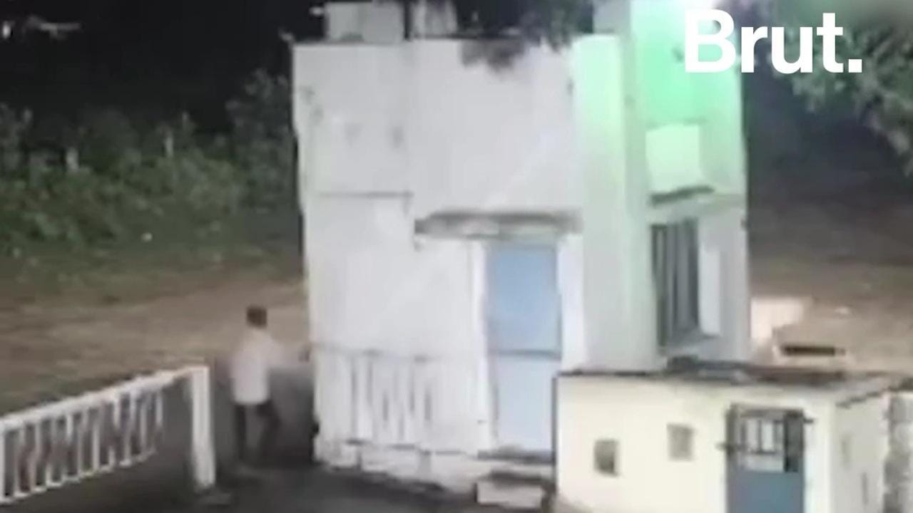 مواجهة مرعبة بين رجل وأسد في الهند تنتهي بمشهد كوميدي .. فيديو