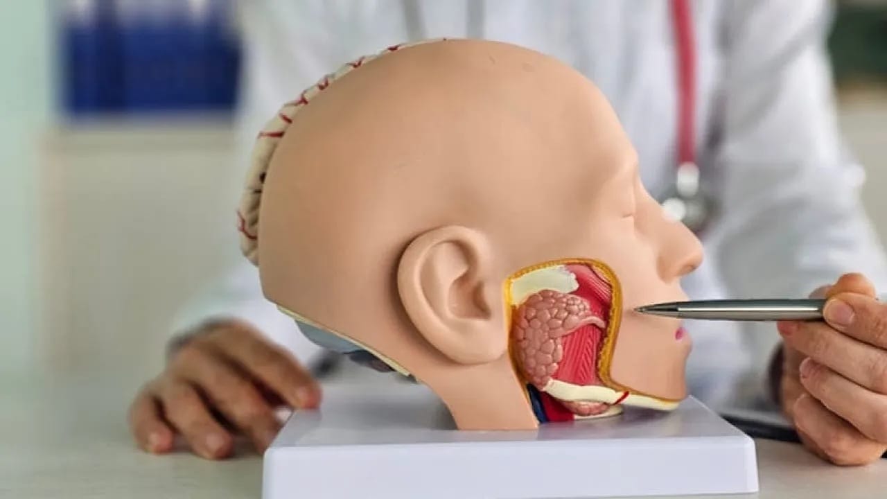 ابتكار أول لسان اصطناعي يميز النكهات ويتعلم مثل الإنسان