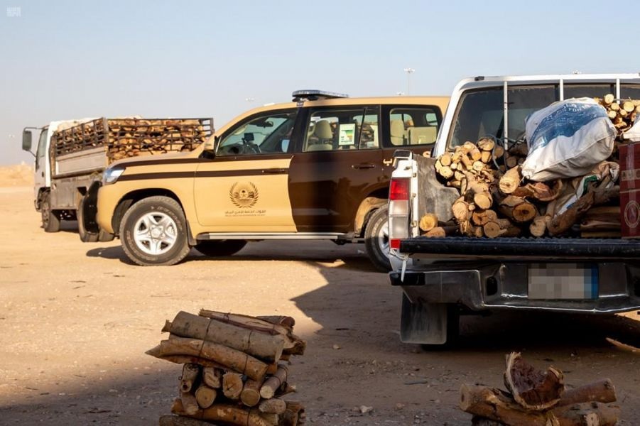 22 مخالفا لنظام البيئة في قبضة الجهات الأمنية خلال أسبوع.. فيديو